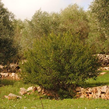 Il Giardino Di Viola Bed & Breakfast Ceglie Messapica Bagian luar foto