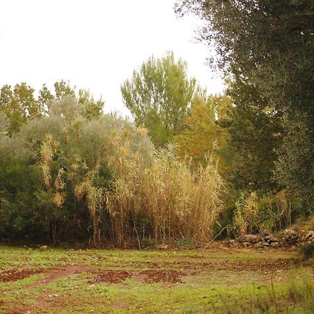 Il Giardino Di Viola Bed & Breakfast Ceglie Messapica Bagian luar foto