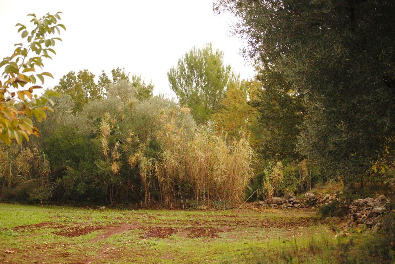 Il Giardino Di Viola Bed & Breakfast Ceglie Messapica Bagian luar foto