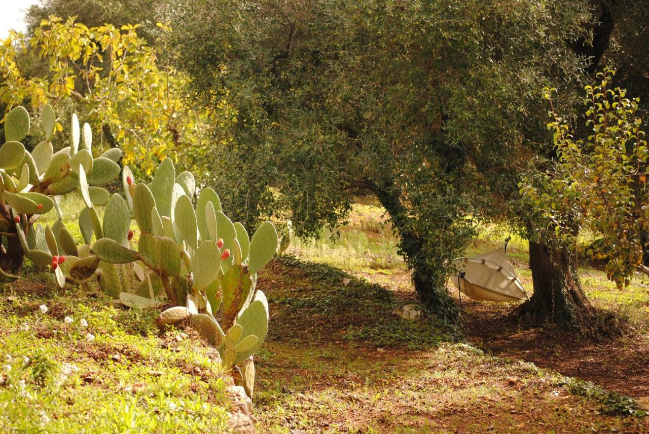 Il Giardino Di Viola Bed & Breakfast Ceglie Messapica Bagian luar foto