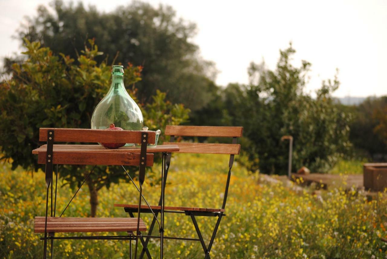 Il Giardino Di Viola Bed & Breakfast Ceglie Messapica Bagian luar foto