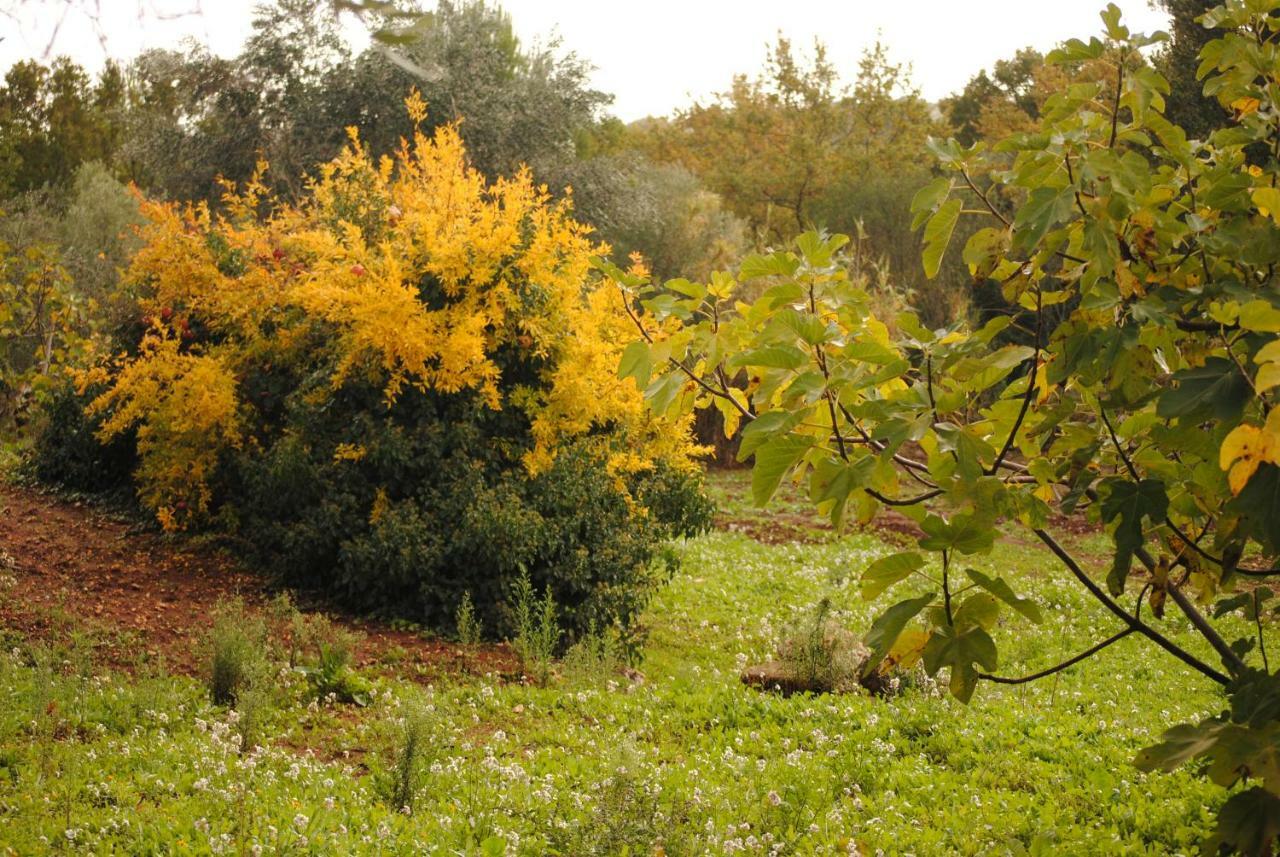 Il Giardino Di Viola Bed & Breakfast Ceglie Messapica Bagian luar foto