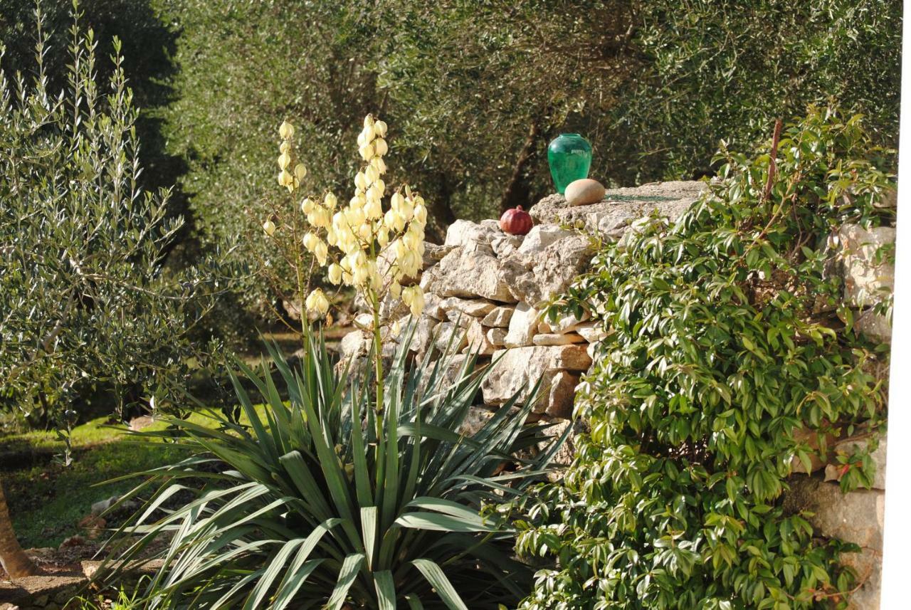 Il Giardino Di Viola Bed & Breakfast Ceglie Messapica Bagian luar foto