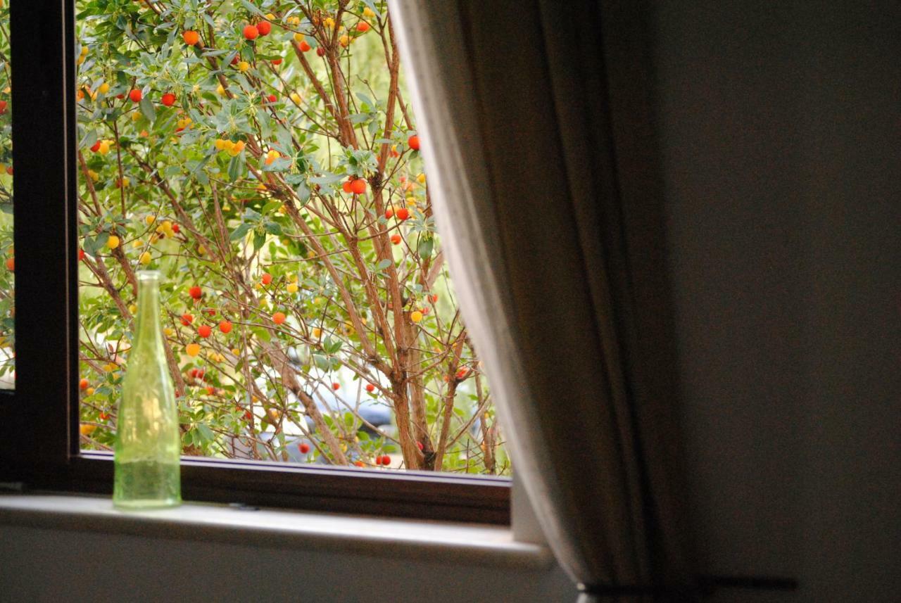 Il Giardino Di Viola Bed & Breakfast Ceglie Messapica Bagian luar foto