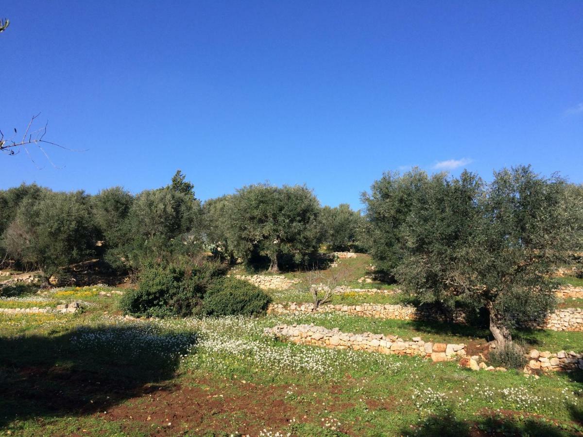 Il Giardino Di Viola Bed & Breakfast Ceglie Messapica Bagian luar foto