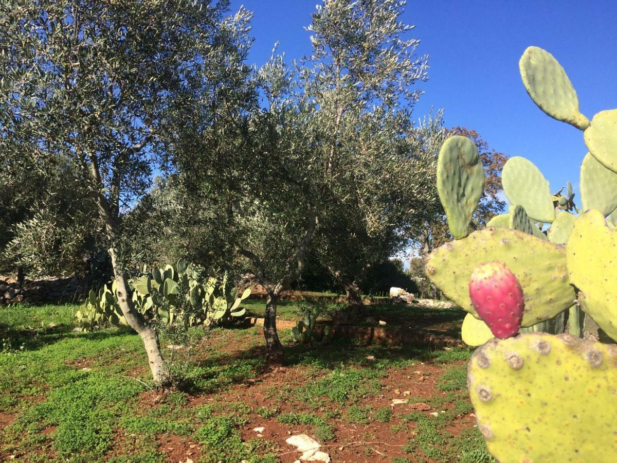 Il Giardino Di Viola Bed & Breakfast Ceglie Messapica Bagian luar foto