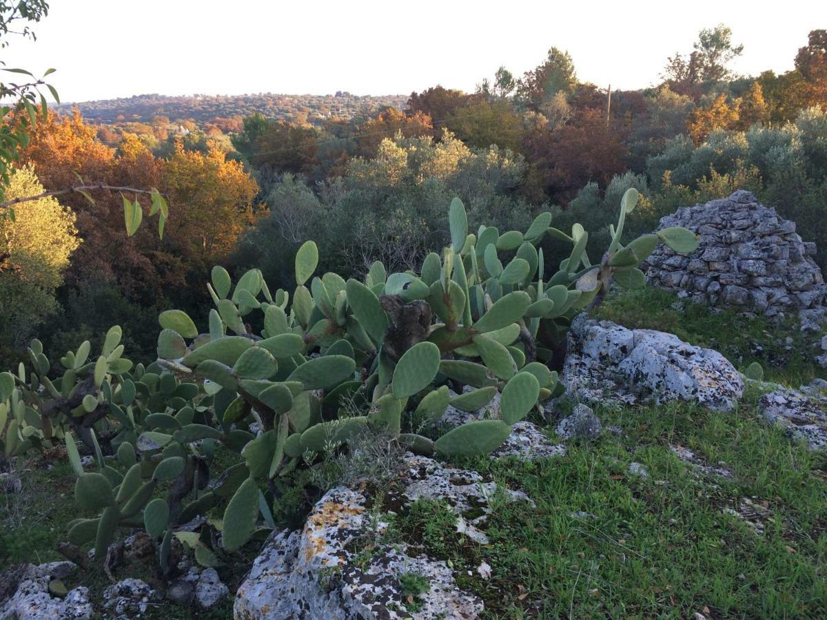 Il Giardino Di Viola Bed & Breakfast Ceglie Messapica Bagian luar foto