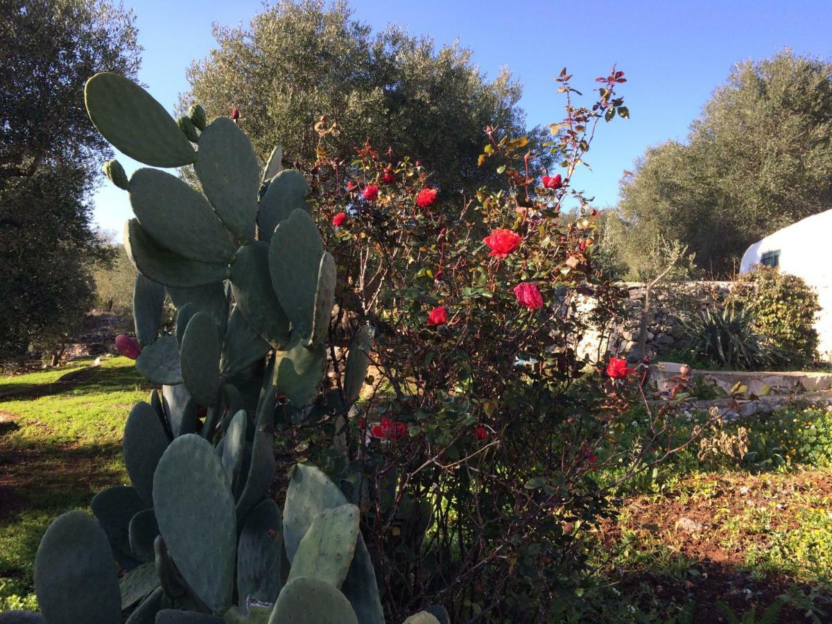 Il Giardino Di Viola Bed & Breakfast Ceglie Messapica Bagian luar foto